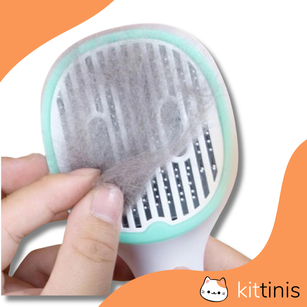 KITTINIS - LUXBRUSH® (UV-Zeckenbürste) | 50 % RABATT!