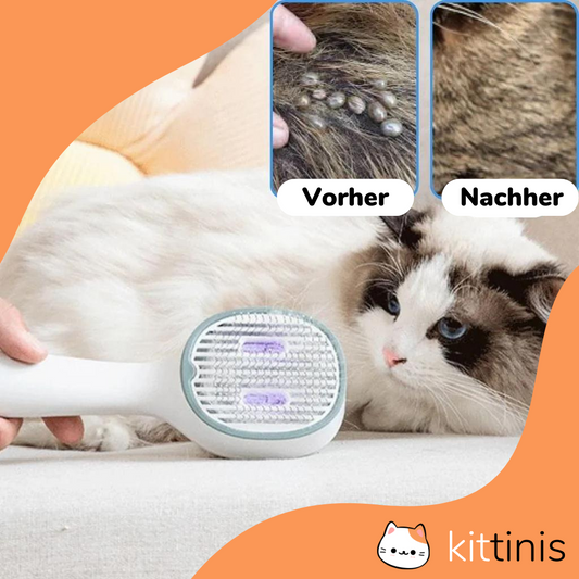 KITTINIS - LUXBRUSH® (UV-Zeckenbürste) | 50 % RABATT! 
